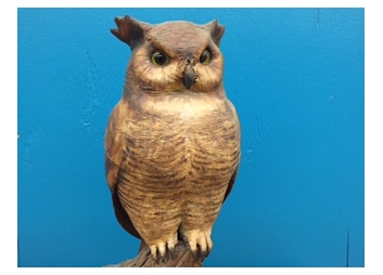 Black Rock Galleries