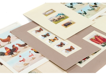 Black Rock Galleries