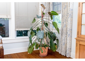 Black Rock Galleries