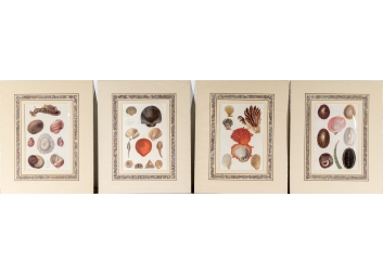 Black Rock Galleries