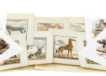 Black Rock Galleries