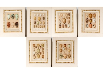 Black Rock Galleries