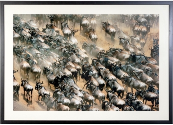 Black Rock Galleries