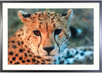 Black Rock Galleries