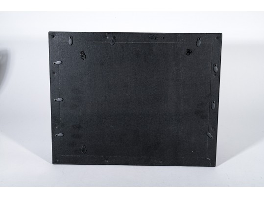 Vintege Women's Voting Rights Photo