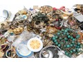 Large Assorted Lot Of Vintage And Contemporary Costume Jewelry Pieces