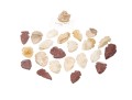 Collection Of Stone Arowheads