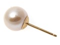 14k Yellow Gold Classic White Cultured Pearl Stud Earrings