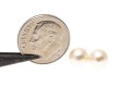 14k Yellow Gold Classic White Cultured Pearl Stud Earrings