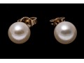14k Yellow Gold Classic White Cultured Pearl Stud Earrings
