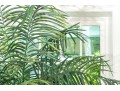 Faux Potted Palm