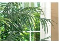 Faux Potted Palm