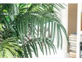 Faux Potted Palm