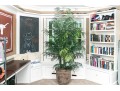 Faux Potted Palm