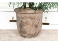 Faux Potted Palm