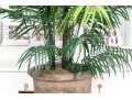 Faux Potted Palm