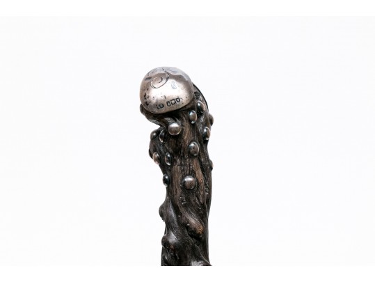Antique English Walking Stick 