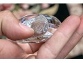 Chic Collection Of French, Baccarat Crystal Animals 