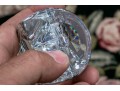 Chic Collection Of French, Baccarat Crystal Animals 