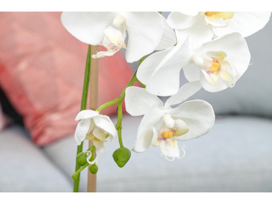 Faux Orchid Plant Retail $110
