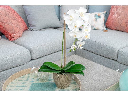 Faux Orchid Plant Retail $110
