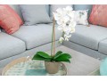 Faux Orchid Plant Retail $110