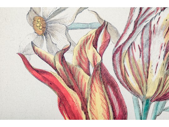 Pair Of Fine Trowbridge Framed Color Botanical Prints, Tulips And Auriculas