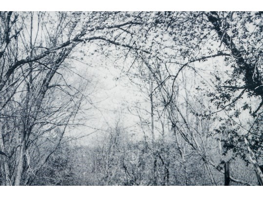 Eric Lindbloom (Am., 1934-2020) Framed Black And White Photo, Fence In A Field