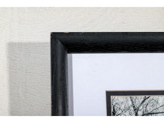 Eric Lindbloom (Am., 1934-2020) Framed Black And White Photo, Fence In A Field