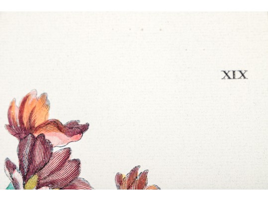 Pair Of Fine Trowbridge Framed Color Botanical Prints, Tulips And Auriculas