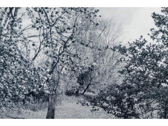 Eric Lindbloom (Am., 1934-2020) Framed Black And White Photo, Fence In A Field