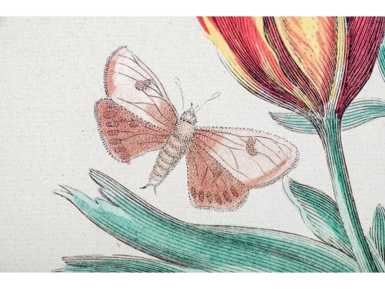 Pair Of Fine Trowbridge Framed Color Botanical Prints, Tulips And Auriculas