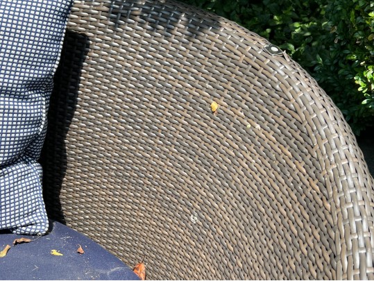 Gloster Two Piece Outdoor All-weather Woven Resin Daybed, As-is