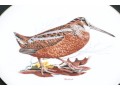Set Of American Woodmere China Dishes, 8 Woodcock & 7 Mountain Quail