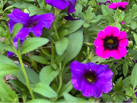 Substantial Cast Concrete Outdoor Jardiniere 