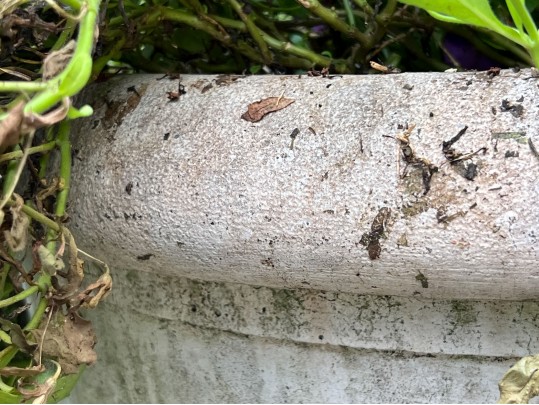 Substantial Cast Concrete Outdoor Jardiniere 