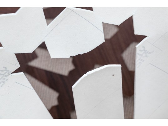 Arts Firuz, French Decorative Vinyl Rosace Carpet 