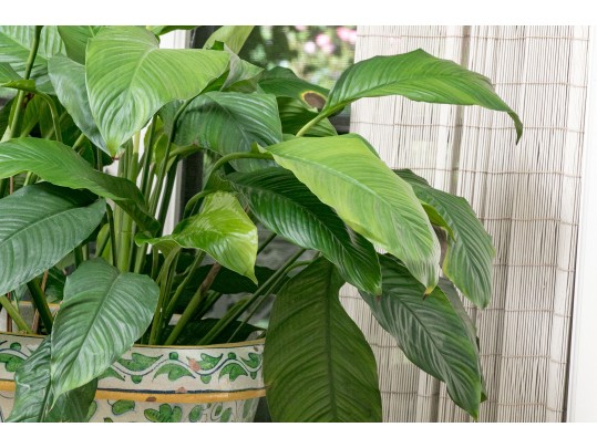Beautiful Large Yellow And Green Italian Ceramic Urn