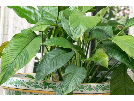 Beautiful Large Yellow And Green Italian Ceramic Urn