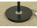Contemporary Black Metal & Chrome Floor Lamp