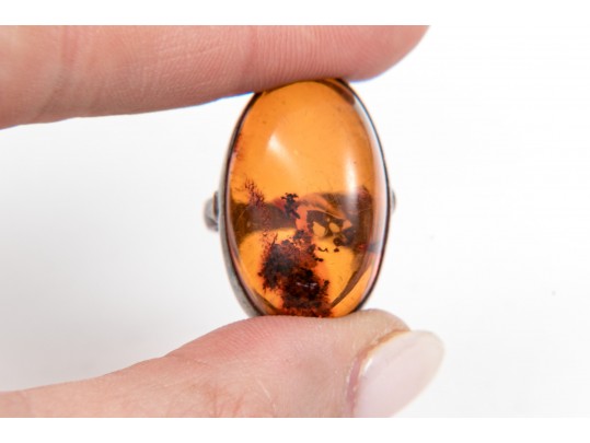 Large Collection Of Amber Necklaces, Bracelet, Earrings And Rings