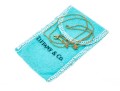 18K Tiffany & Co. Chain Necklace