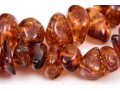 Large Collection Of Amber Necklaces, Bracelet, Earrings And Rings