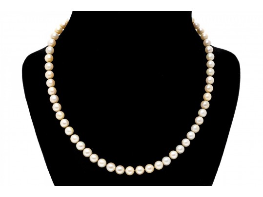 Simple 14K And Strung Pearl Necklace