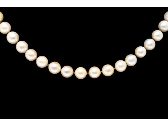 Simple 14K And Strung Pearl Necklace