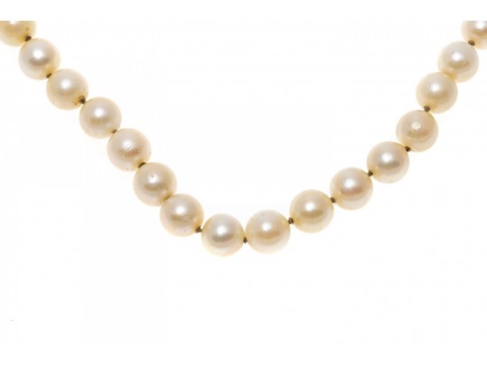 Simple 14K And Strung Pearl Necklace