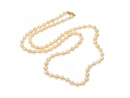 Simple 14K And Strung Pearl Necklace