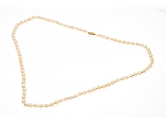 Simple 14K And Strung Pearl Necklace