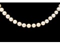 Simple 14K And Strung Pearl Necklace