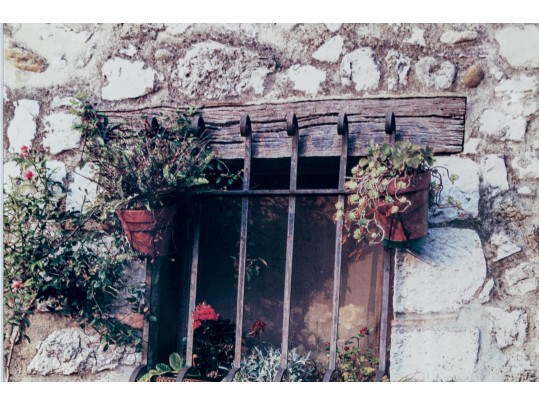 Pair Of Ferris, Colored Photographs